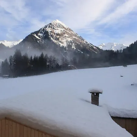 Bergreich 4 Apartment Schoppernau